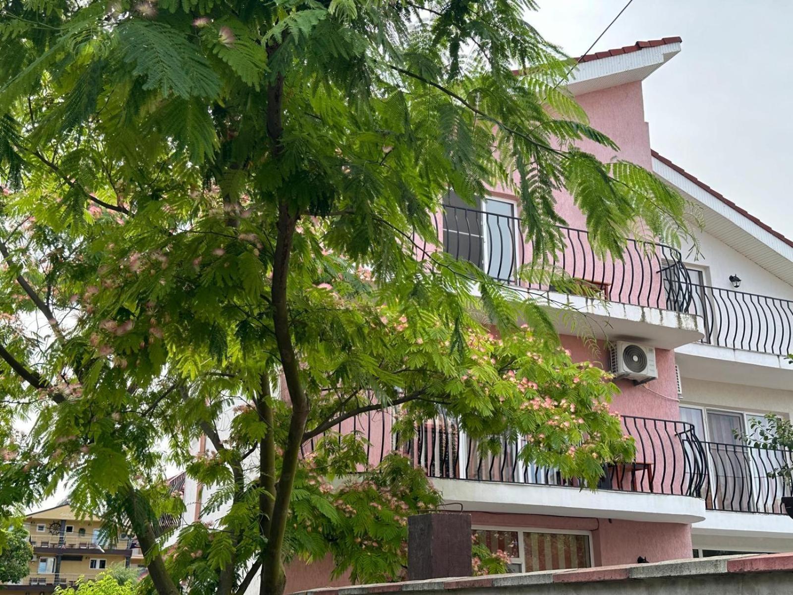 Vila Lucy Costinesti Hotel Ngoại thất bức ảnh